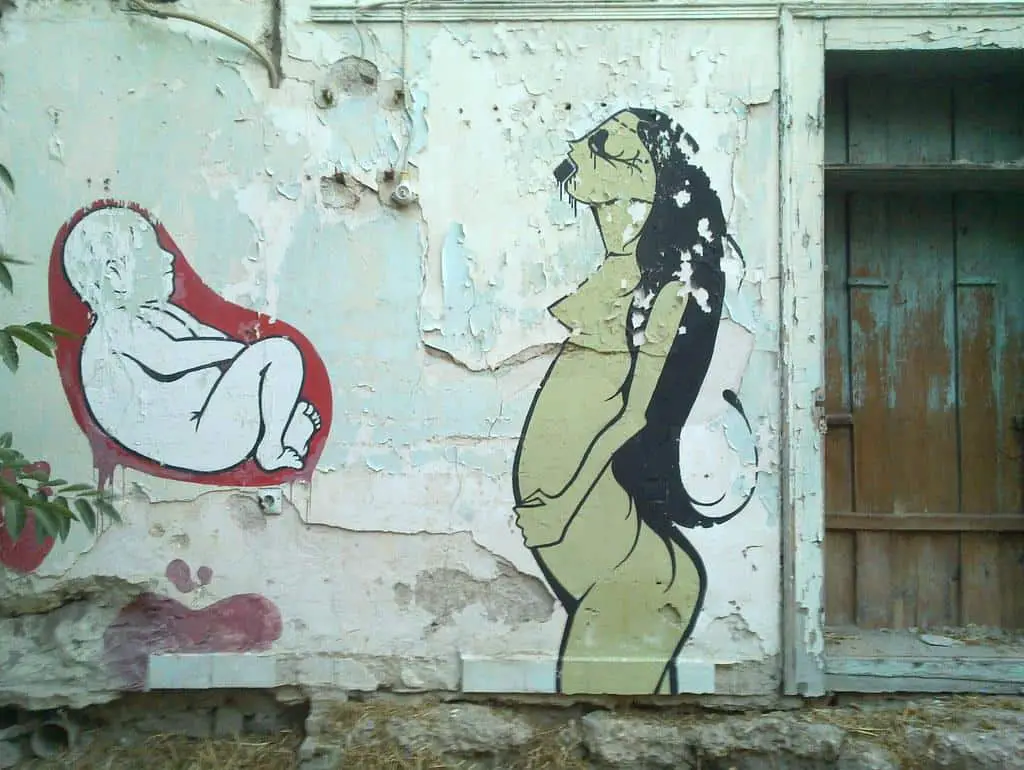 Wall mural of a baby in the womb separated from its mother