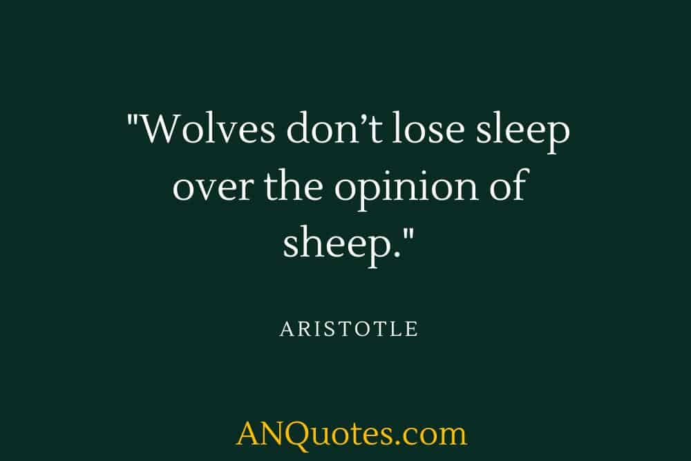 sleep or wolf quote