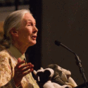 Jane Goodall Quotes