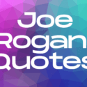 Joe Rogan Quotes