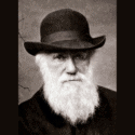 Charles Darwin Quotes