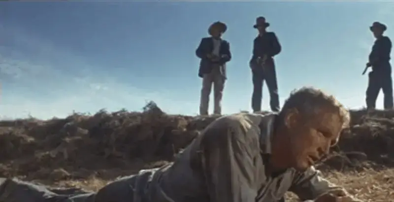 60 Of The Most Interesting Cool Hand Luke Quotes Anquotes Com