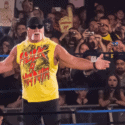 Hulk Hogan Quotes