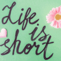 Life is Short Quotes