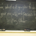 Mary Oliver Quotes