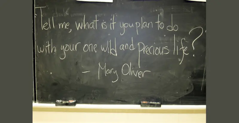 The 42 Most Uplifting Mary Oliver Quotes