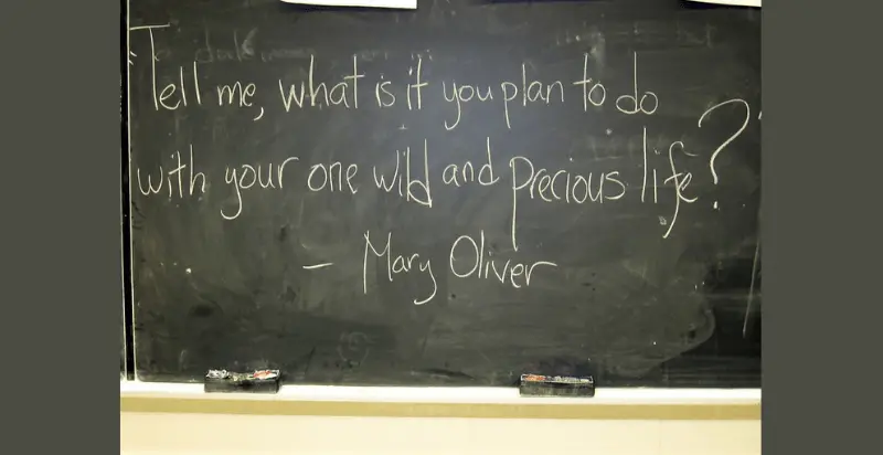 Mary Oliver Quotes