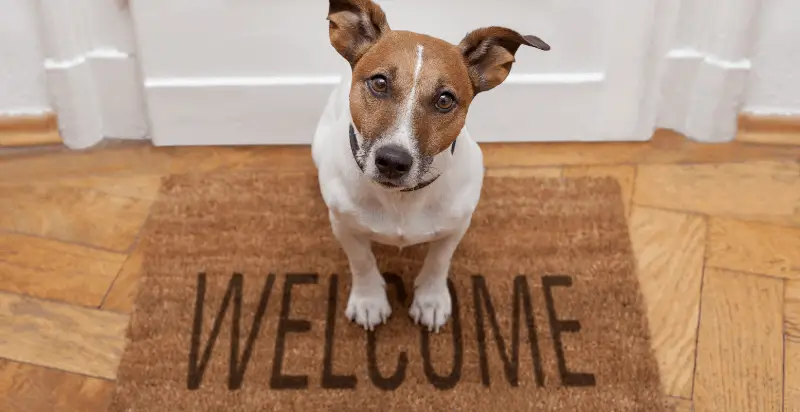 57 of the Best Welcome Home Quotes