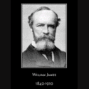 William James Quotes