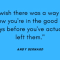 Andy Bernard Quotes