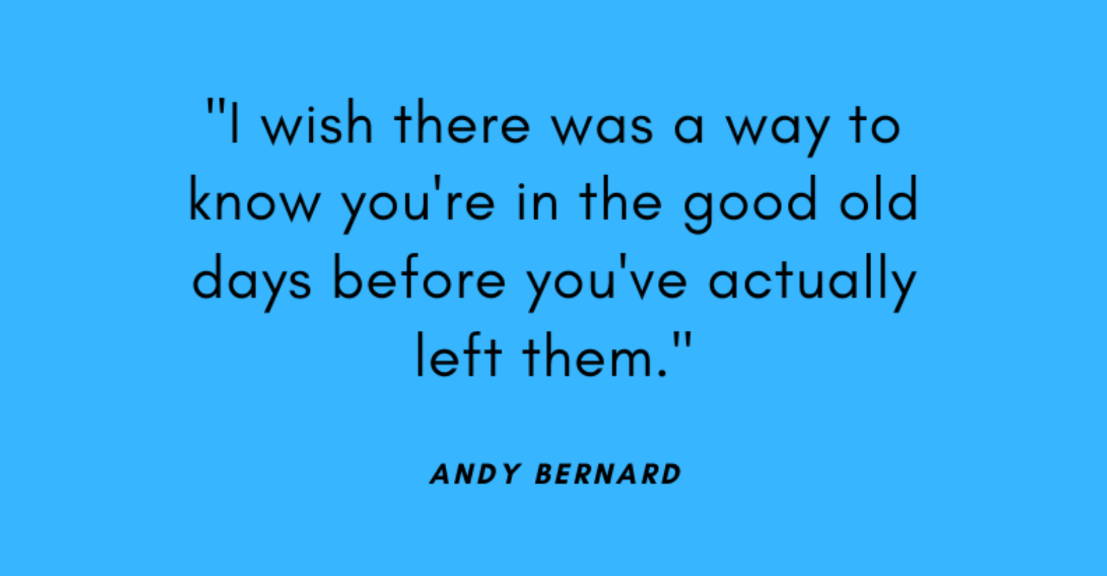 The Funniest Andy Bernard Quotes