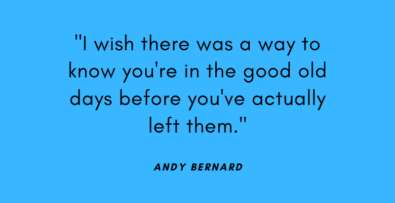 The Funniest Andy Bernard Quotes