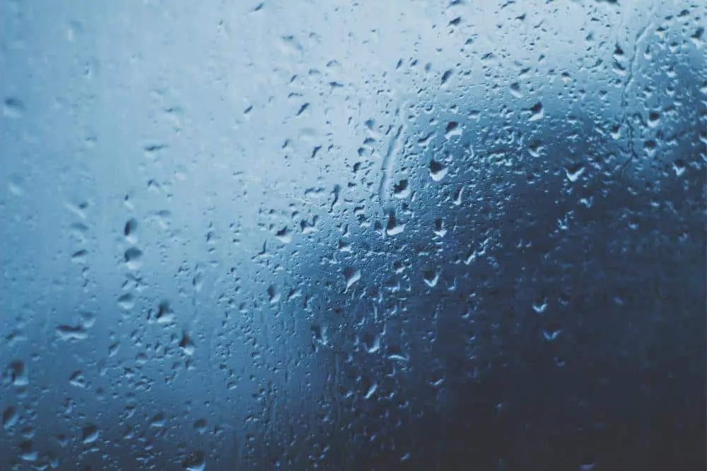 Rainwater on a Window
