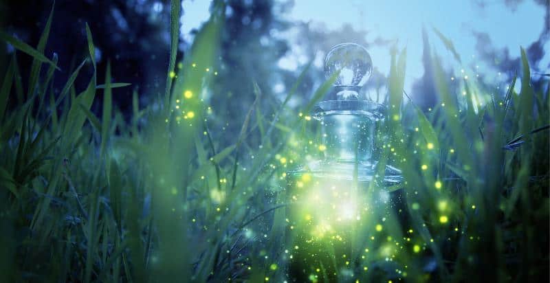 magical fairy dust potion in a bottle in forest