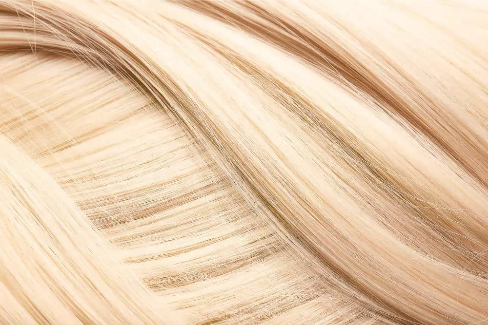 blonde hair in a close-up shot