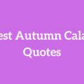 The Most Inspirational Autumn Calabrese Quotes